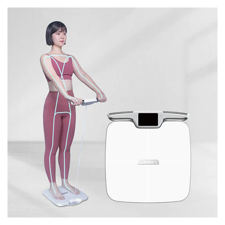 【只限網店】台灣 3zebra 3Body Pro 八電極體脂計（專業款）