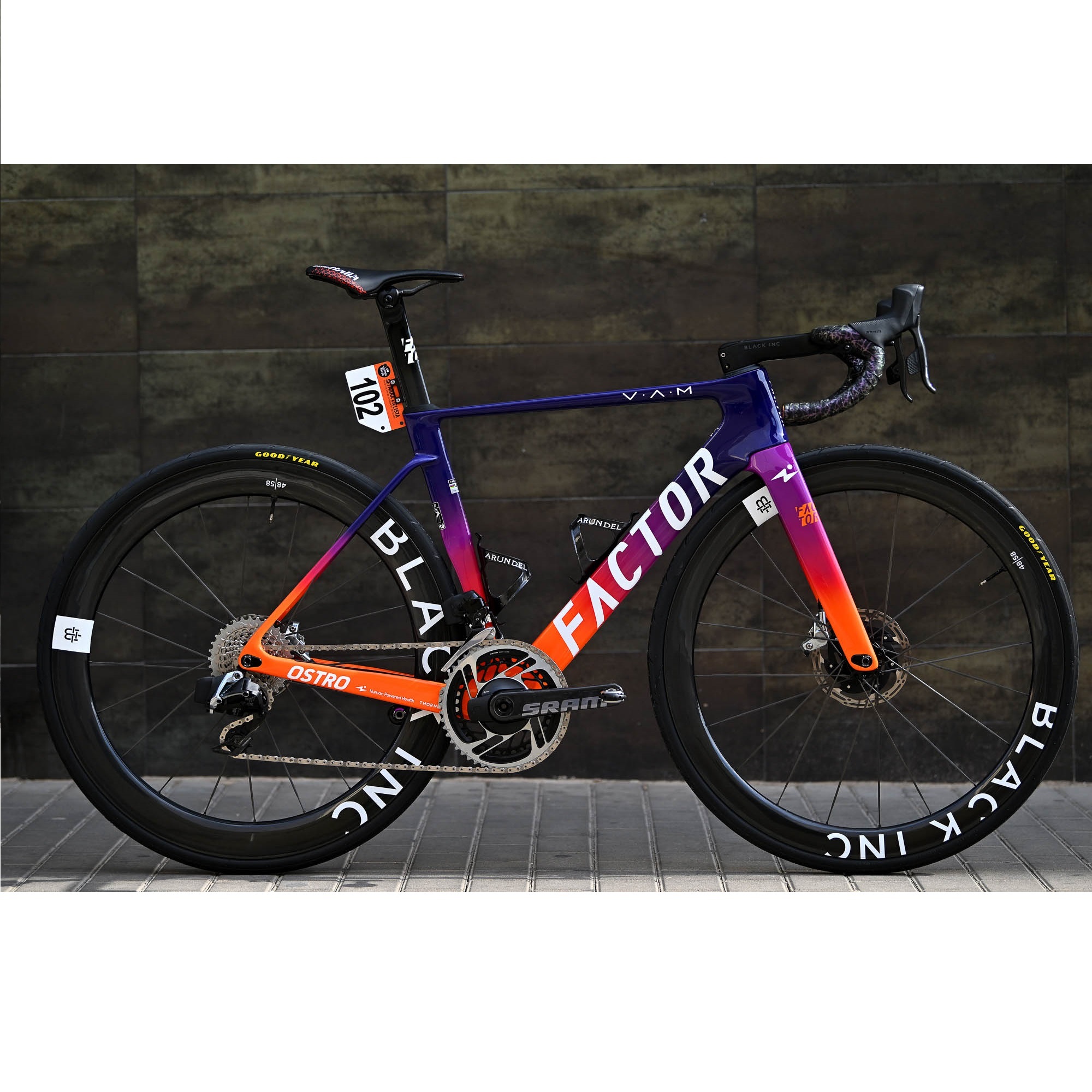 Factor Ostro VAM 公路車架 2024 -Human Powered Health Team Edition (包座管)