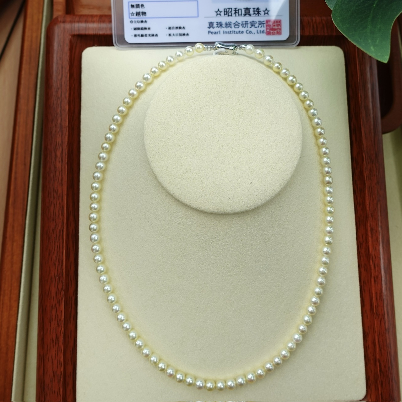 天然無調香檳金色日本Baby Akoya珍珠項鏈  (4.5-5mm) - 配真綜研昭和真珠證書