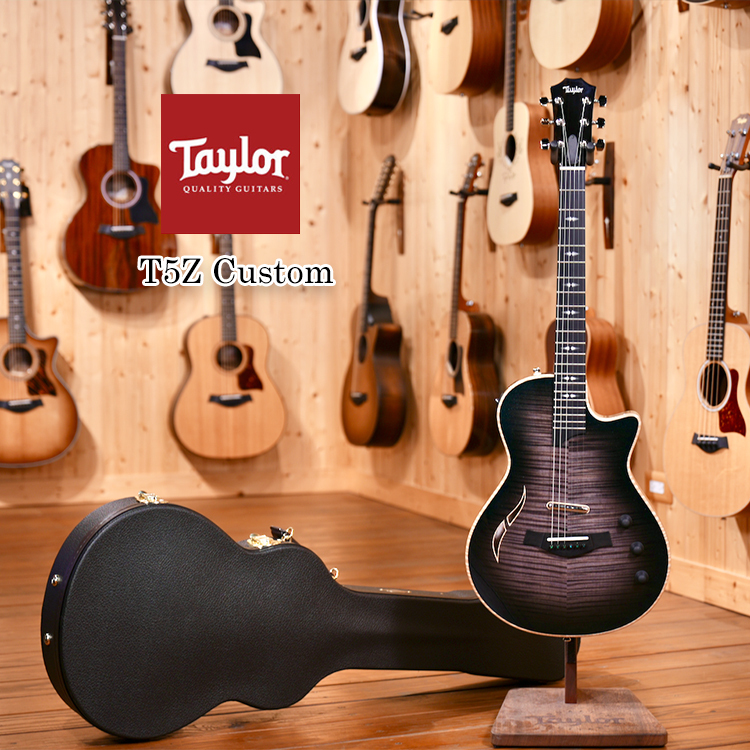 Taylor T5Z custom 34號 客製 電吉他 星空琴 原廠豪華琴盒