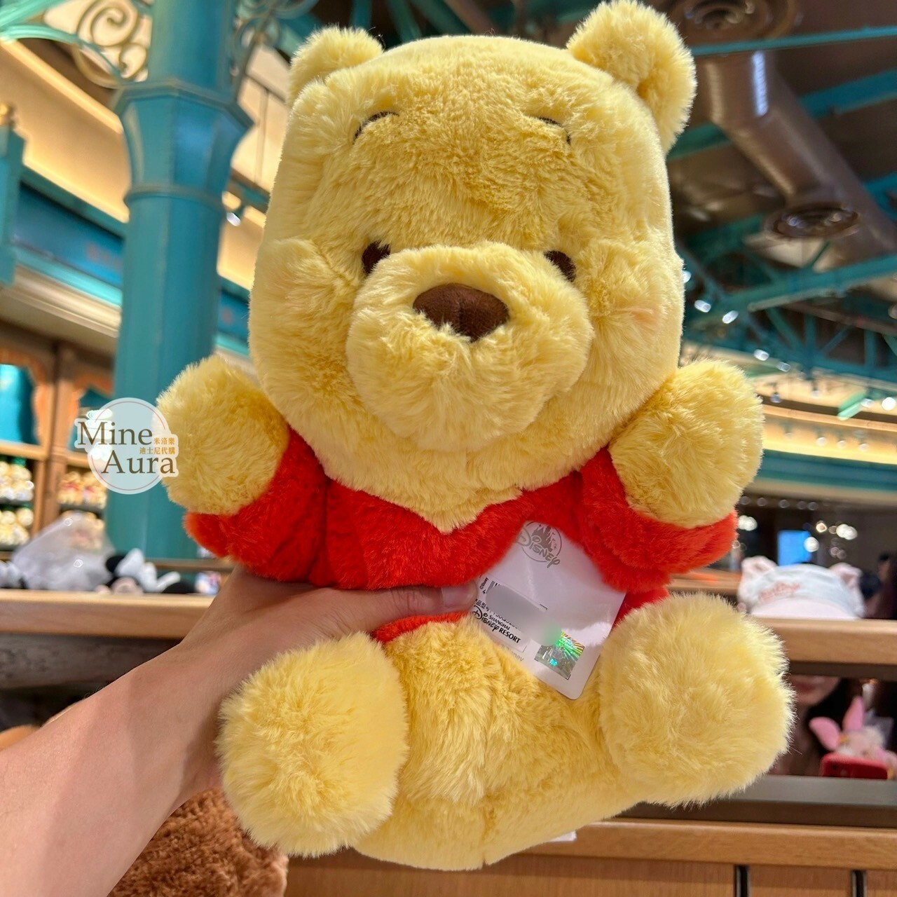 抱抱我系列 小熊維尼 Winnie the Pooh 娃娃 玩偶 -上海迪士尼樂園