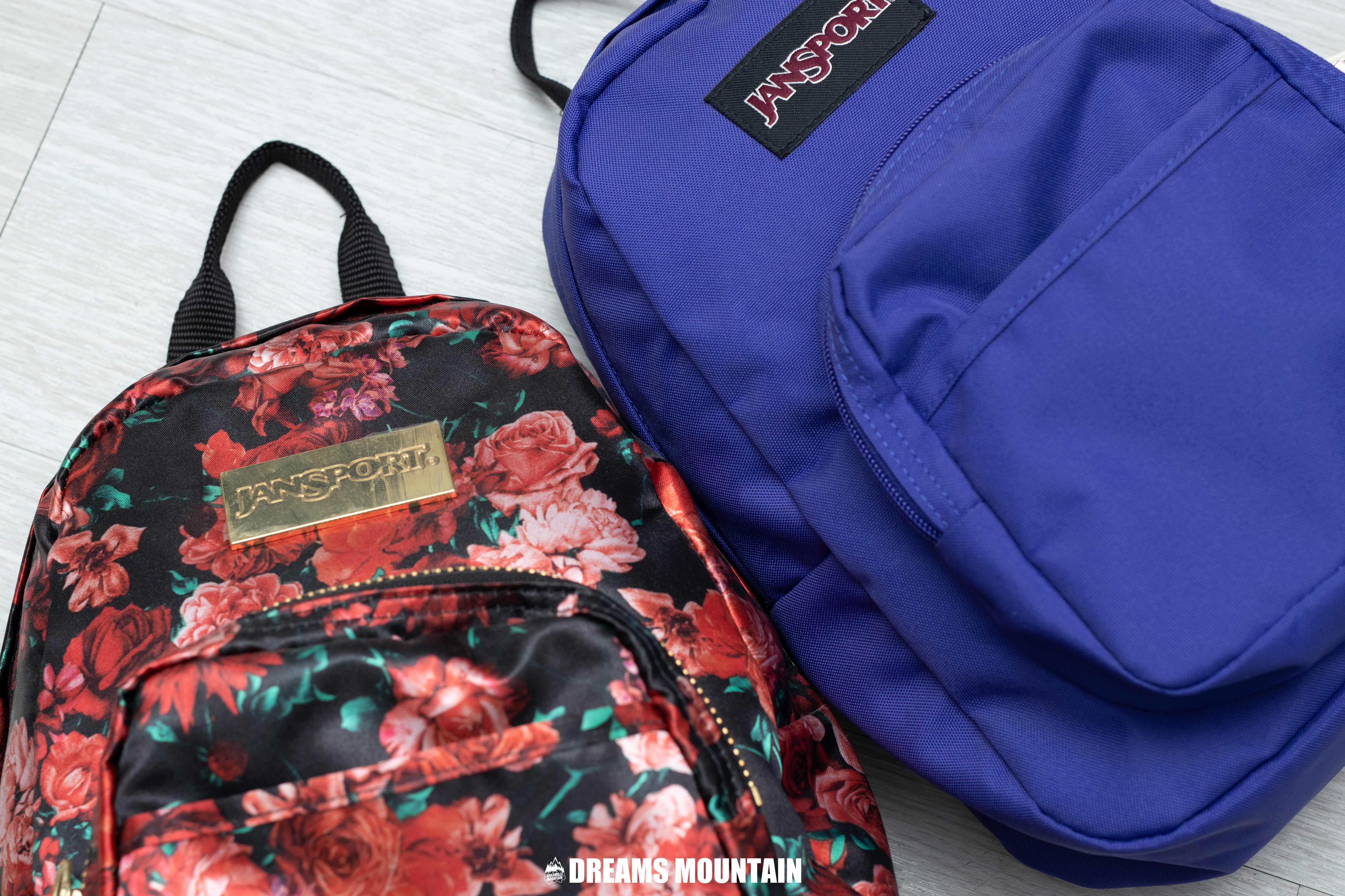 【現貨】Jansport Half Pint  Mini Backpack