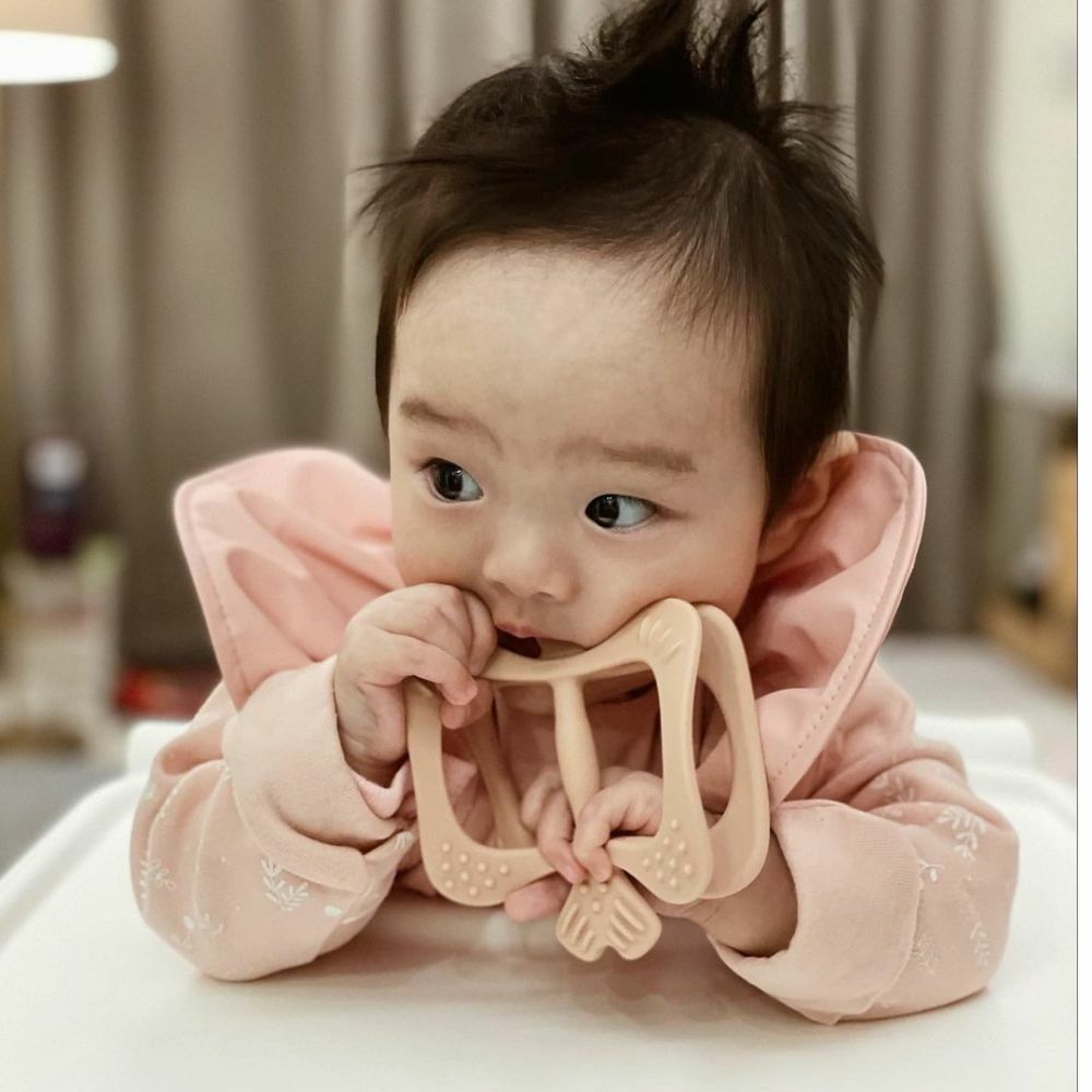 精緻彌月/生日禮盒【胖蝴蝶】-韓國MAMA's TEM美型固齒器奶嘴