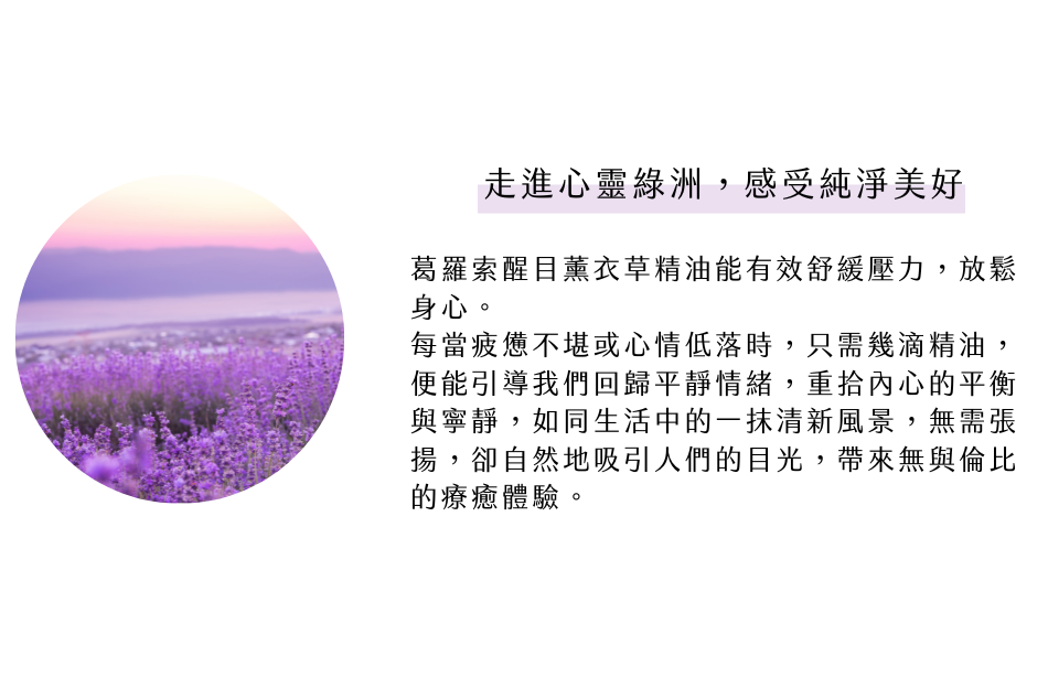 走進心靈綠洲,感受純淨美好