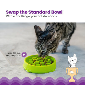 Petstages-貓用好玩慢食碗  (綠色)