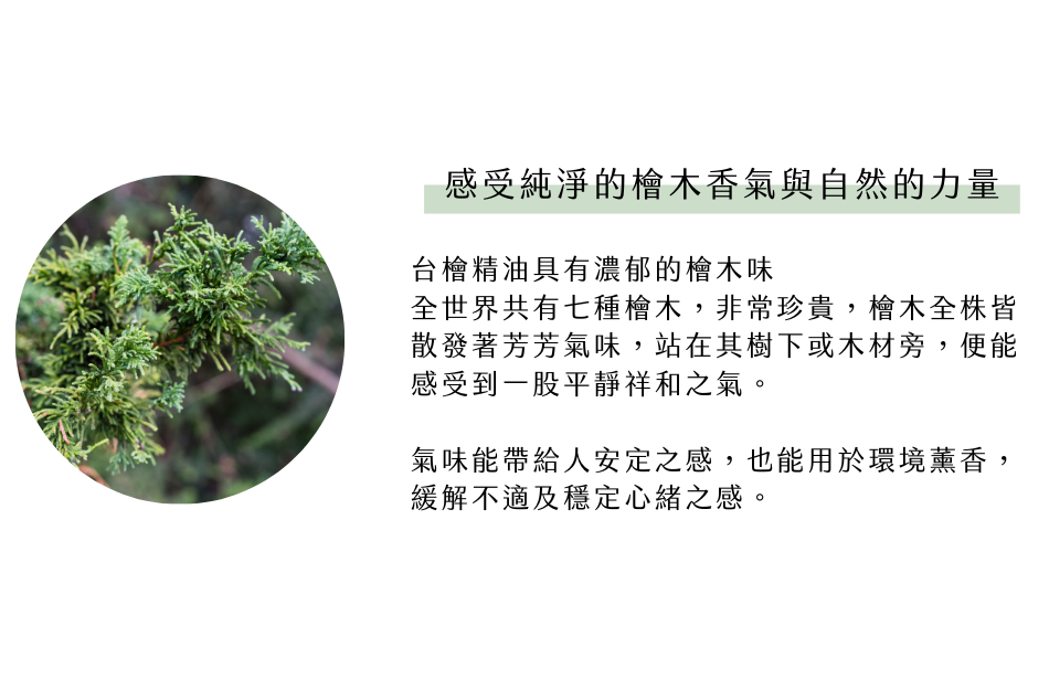 感受純淨的檜木香氣與自然的力量