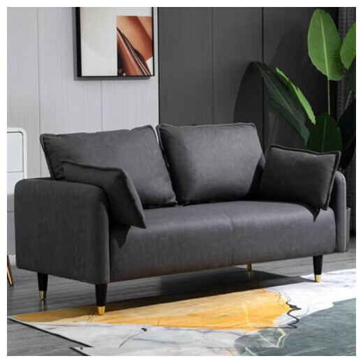 Hot style fabric sofa (dark gray (technical fabric)) [two persons 125CM (free two pillows)]