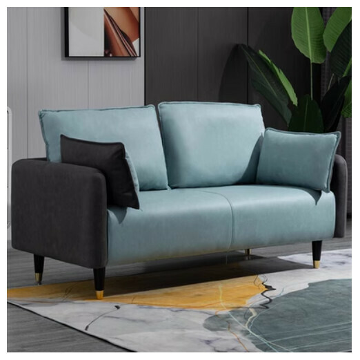 Popular fabric sofa (dark gray + mint green (technical cloth) [double seat 125CM (free two pillows)]