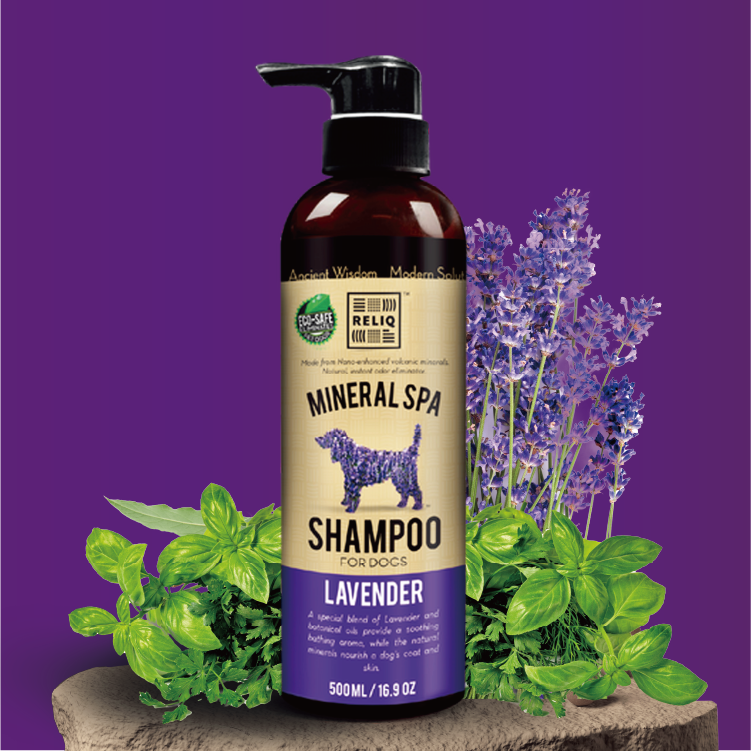 Reliq⎜火山礦物泥+薰衣草精華"納米"洗毛精 500ml(REL-0387)