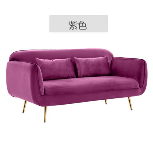 Popular fabric sofa [Purple] [Small double seat 120cm]
