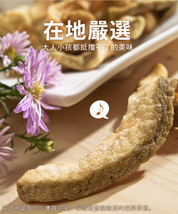 【直播】快車肉乾 L052339 H15 台灣芭樂乾 (300g)