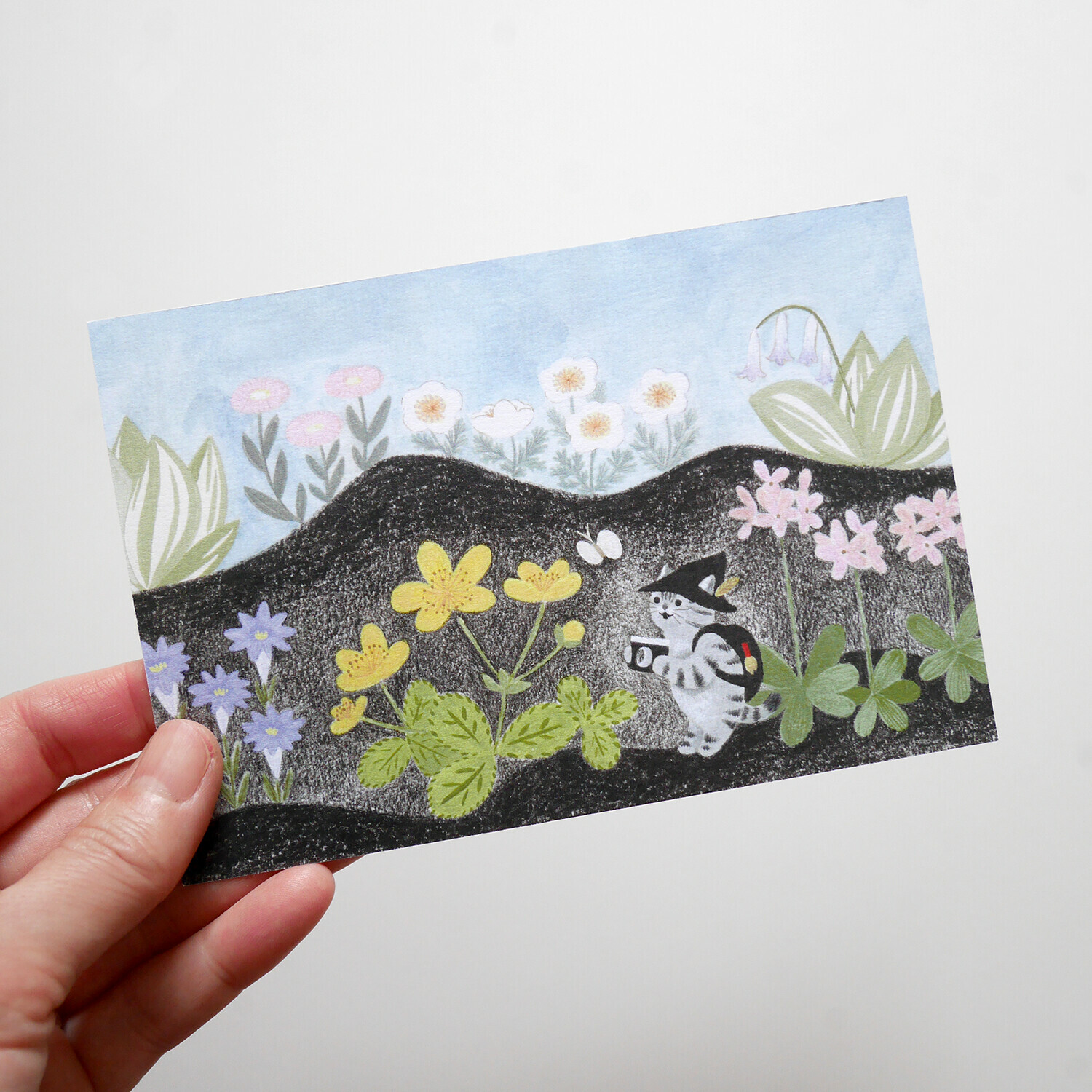 花 貓咪旅行日記 插畫明信片｜日本 4legs