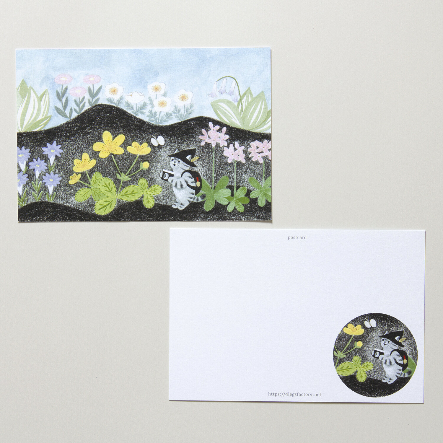 花 貓咪旅行日記 插畫明信片｜日本 4legs