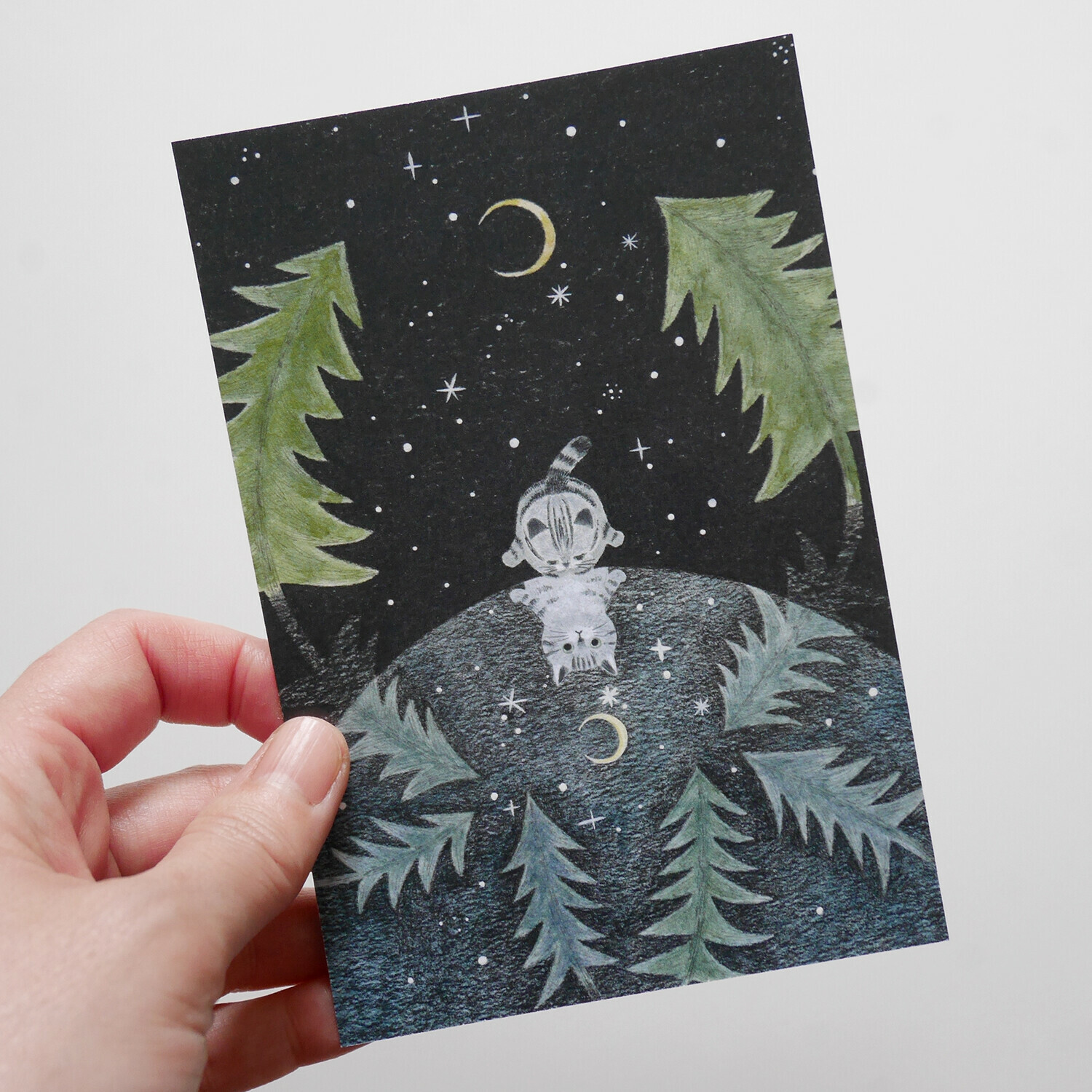 湖泊 貓咪旅行日記 插畫明信片｜日本 4legs