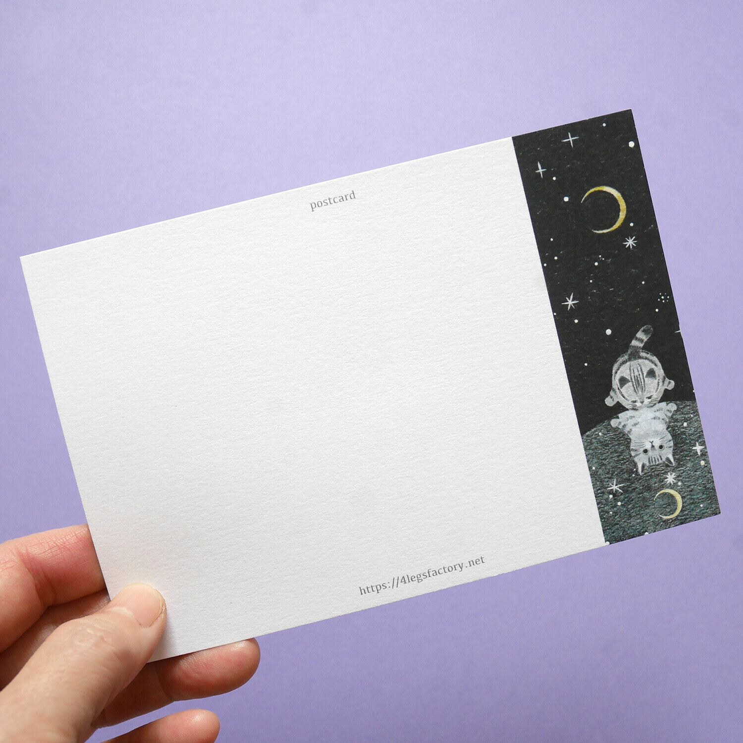 湖泊 貓咪旅行日記 插畫明信片｜日本 4legs