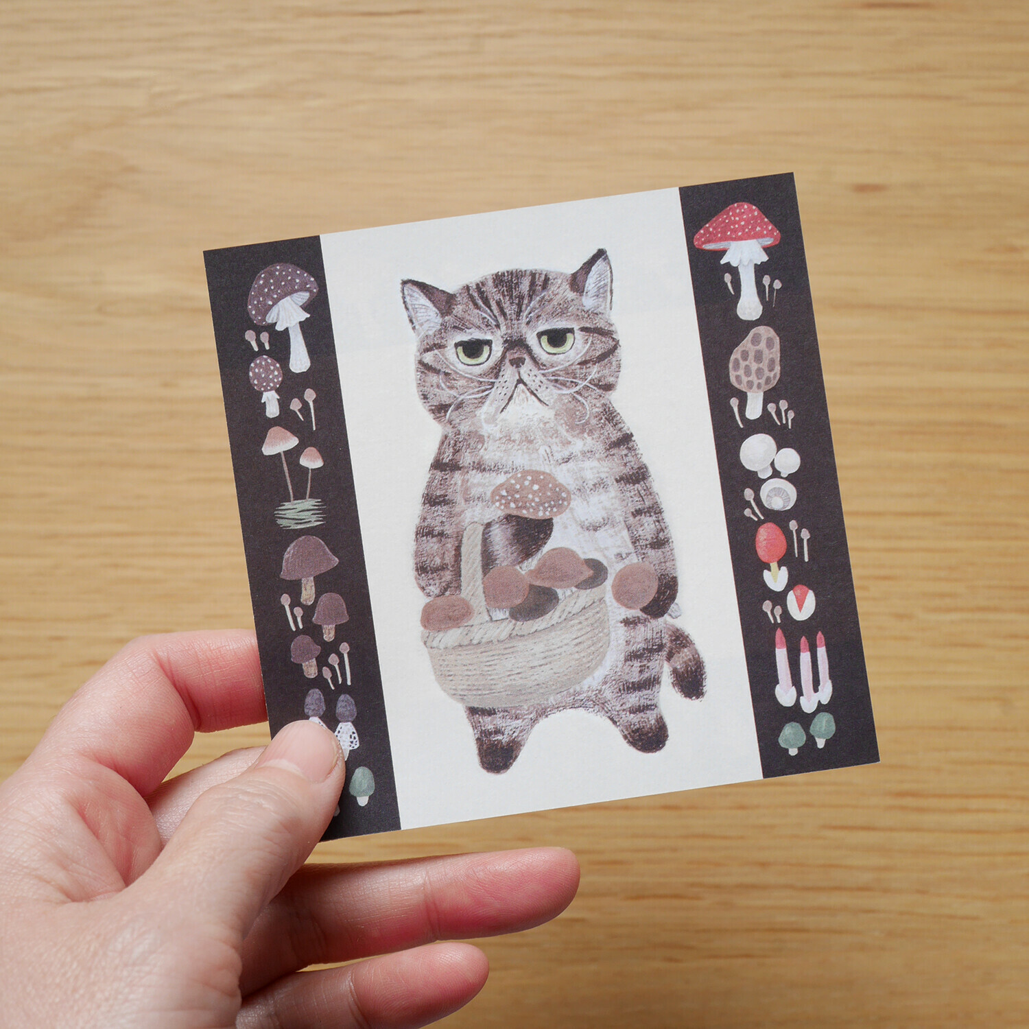 異國短毛貓 插畫便條紙｜日本 4legs