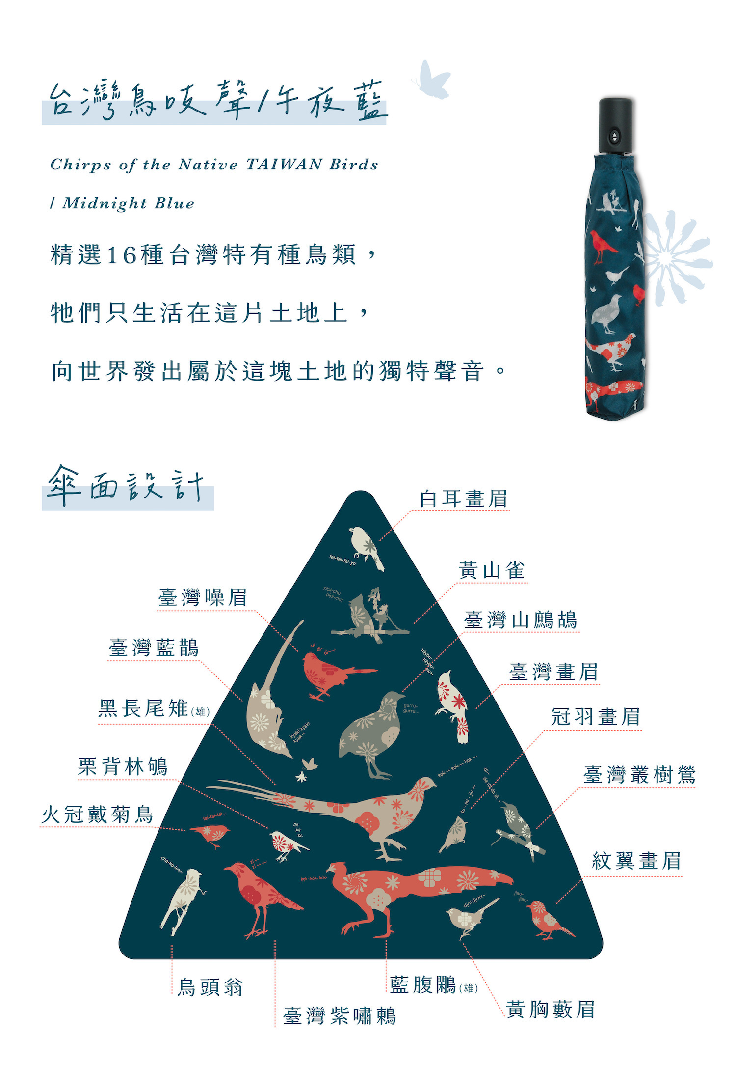 台灣鳥吱聲雨傘