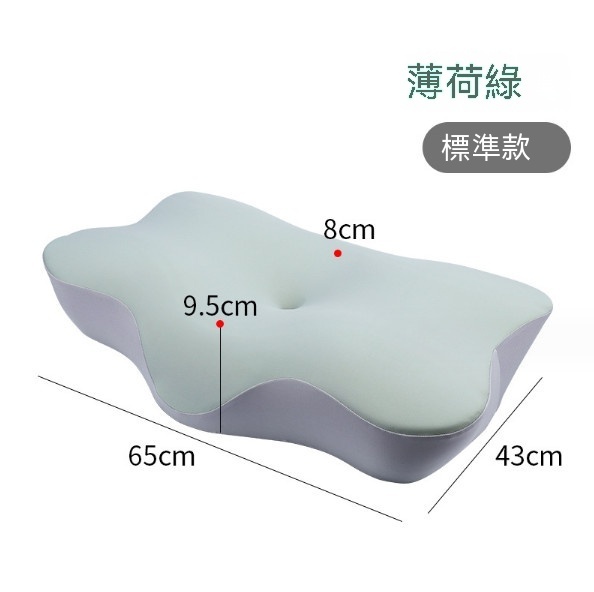 Hot recommended memory foam pillow neck pillow (8170 mint green standard model)