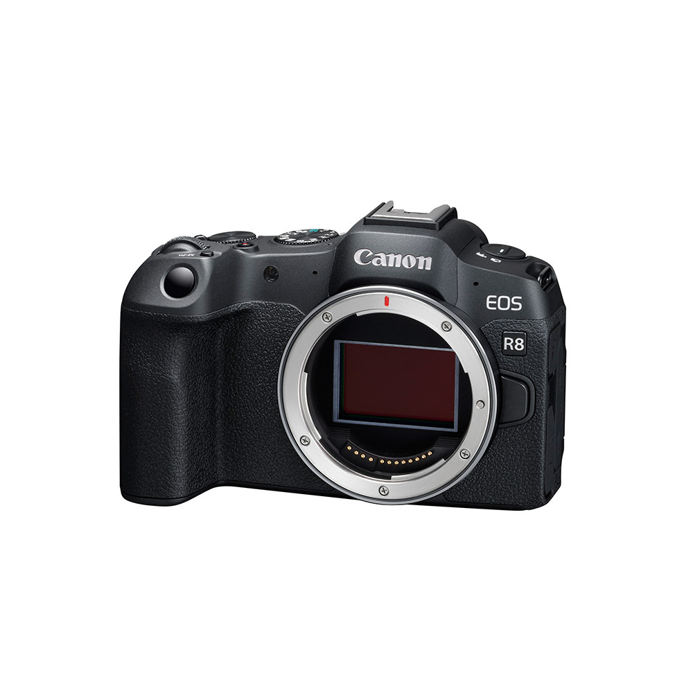 Canon EOS R8 BODY 單機身 相機 公司貨