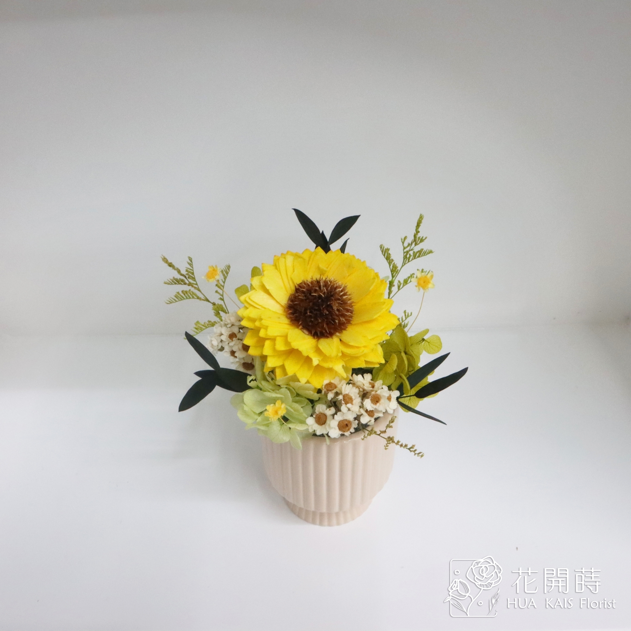 乾燥小盆栽|經典黃太陽花乾杯系列|教師節禮物|畢業禮物|辦公室小桌花|