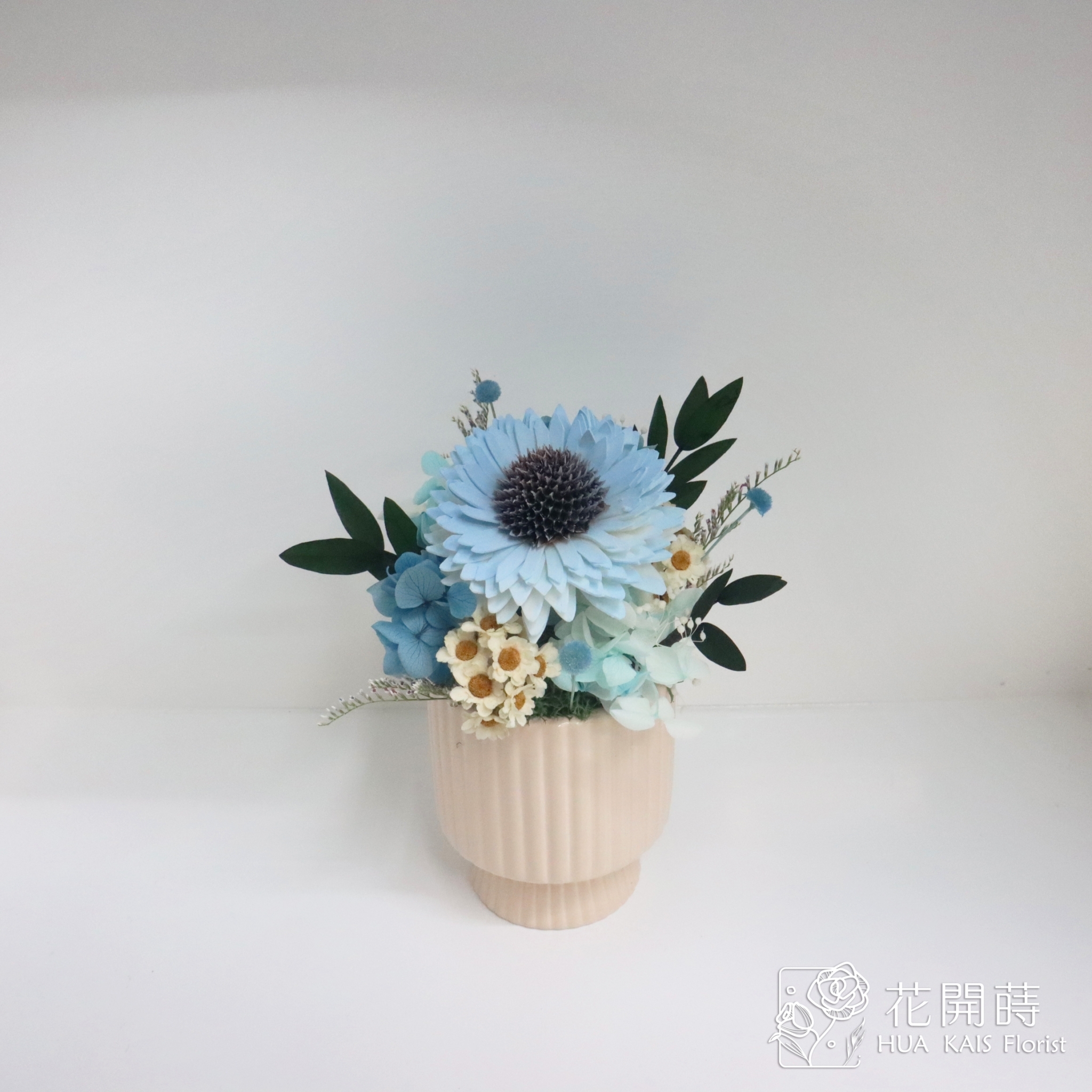 乾燥小盆栽|天空藍太陽花乾杯系列|教師節禮物|畢業禮物|辦公室小桌花|