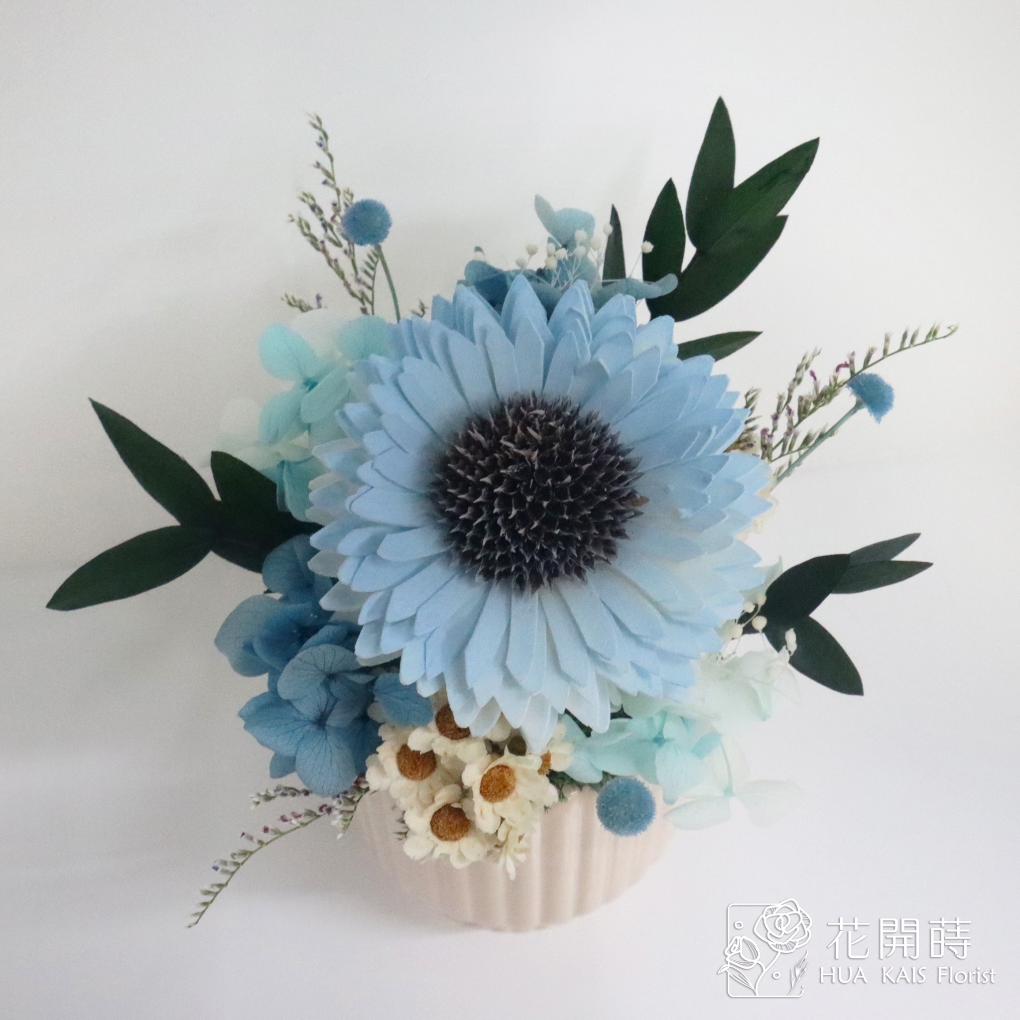乾燥小盆栽|天空藍太陽花乾杯系列|教師節禮物|畢業禮物|辦公室小桌花|