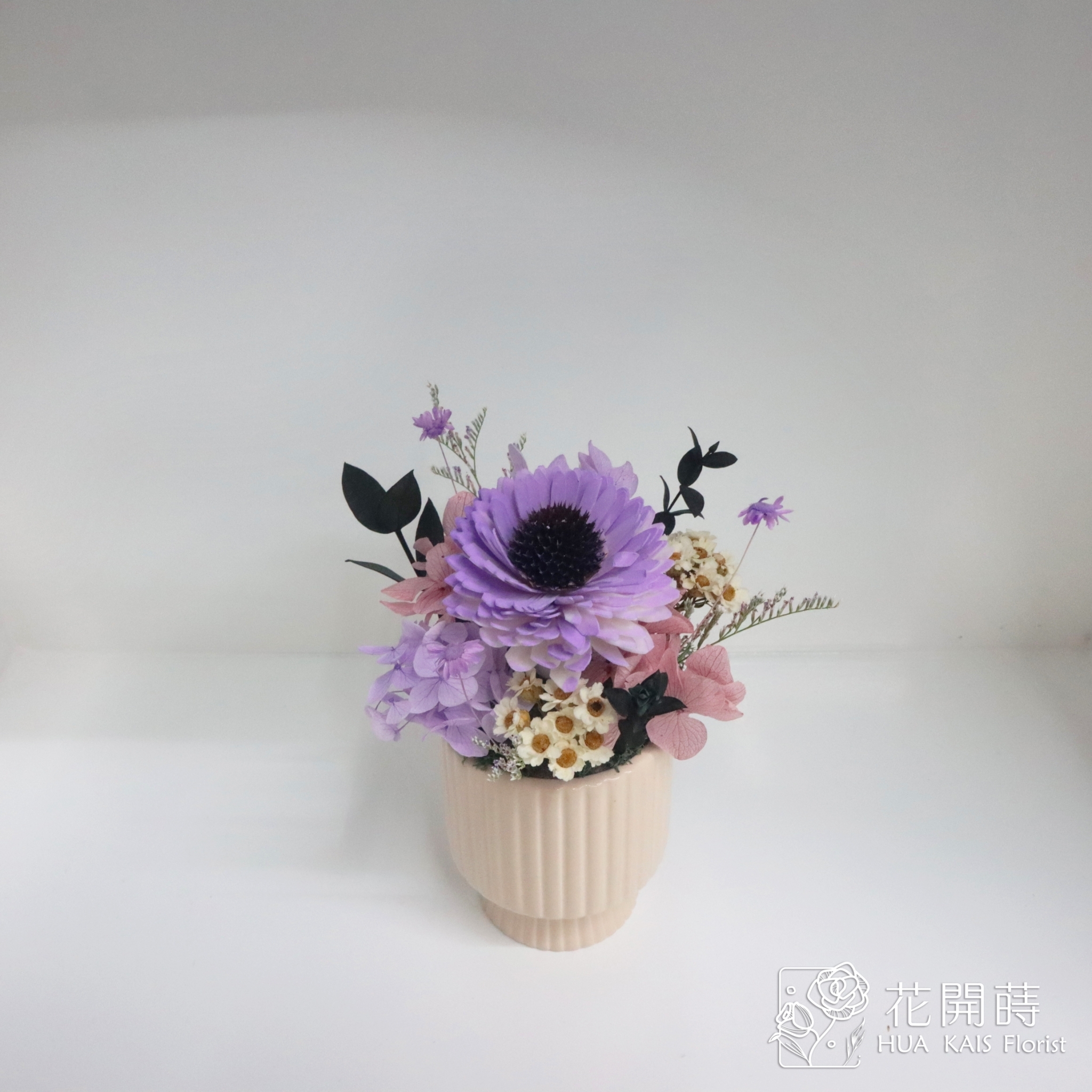 乾燥小盆栽|夢幻紫太陽花乾杯系列|教師節禮物|畢業禮物|辦公室小桌花|