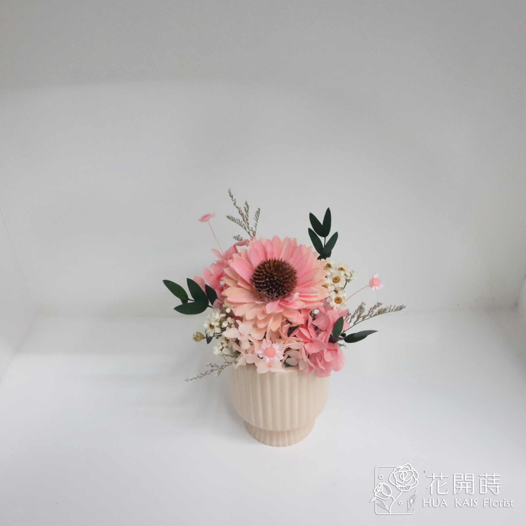 乾燥小盆栽|溫柔粉太陽花乾杯系列|教師節禮物|畢業禮物|辦公室小桌花|