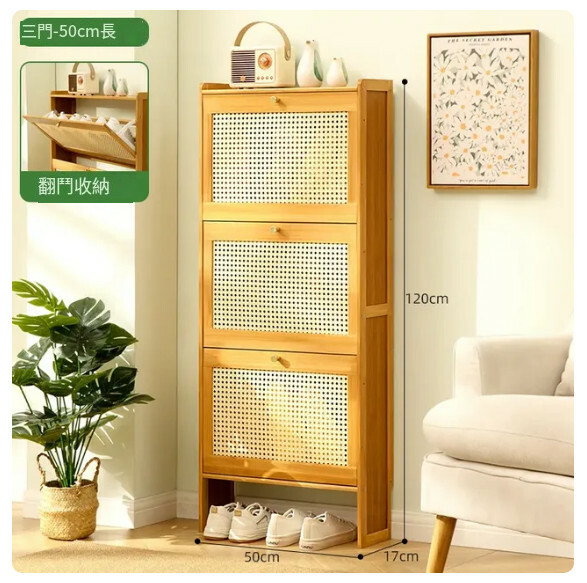 Hot Recommended Shoe Cabinet Shoe Cabinet Rack Door Side Table (3 Layers 50cm)