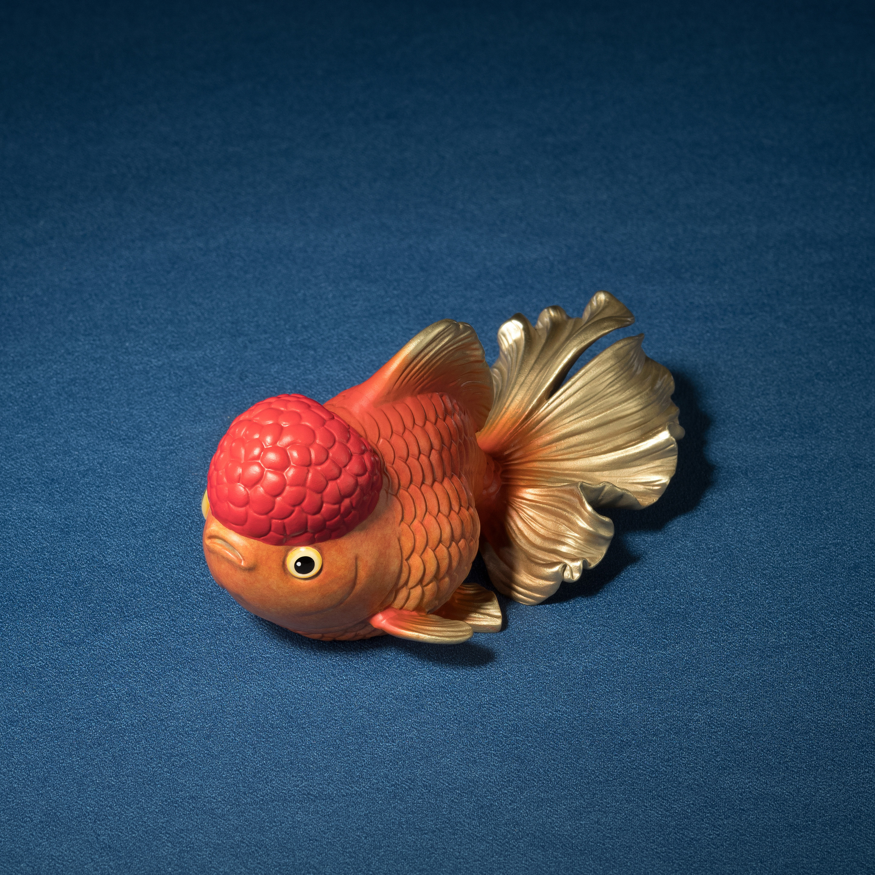 鴻運天成(獅頭金魚)◇已停產◇