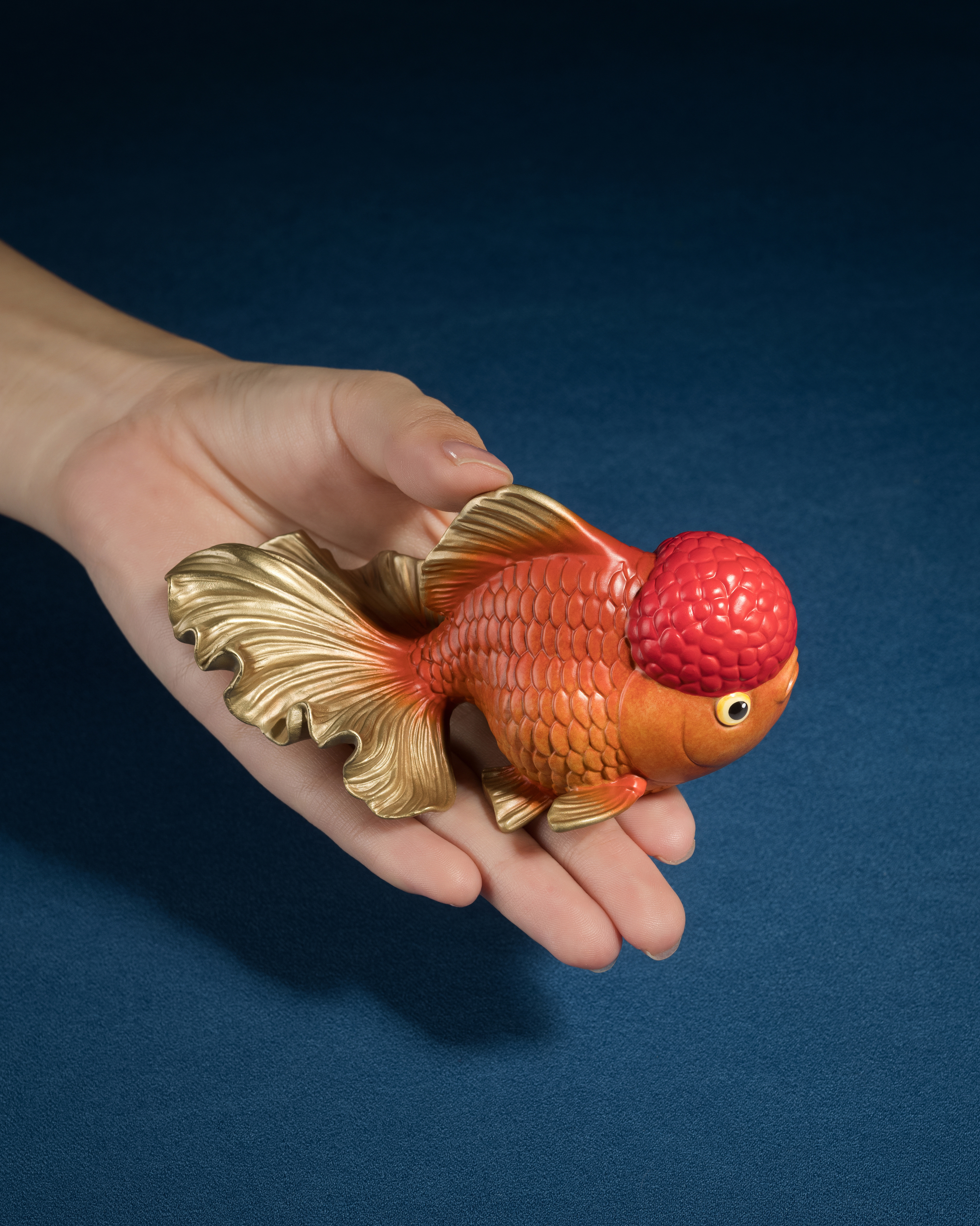 鴻運天成(獅頭金魚)◇已停產◇