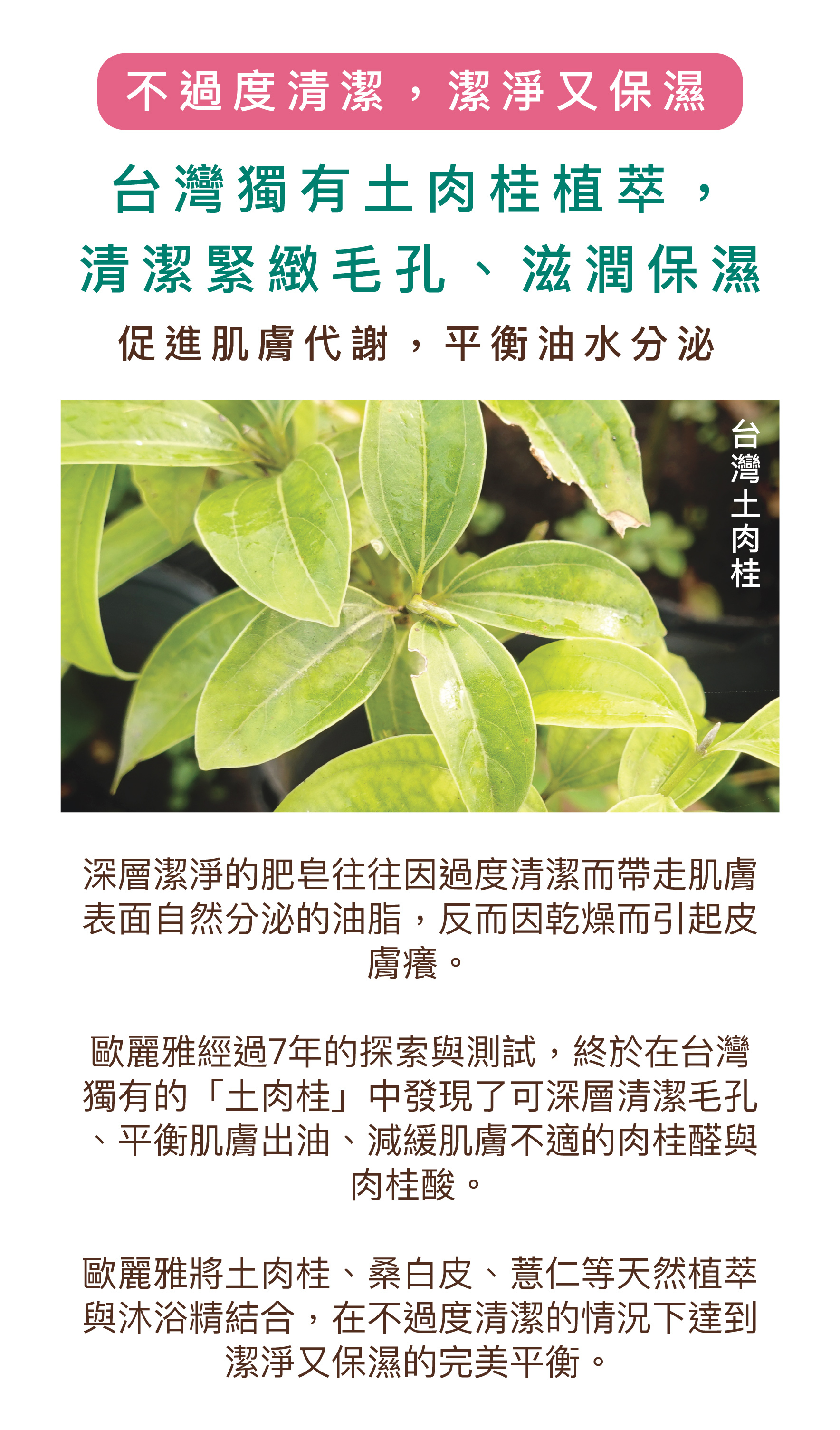 台灣獨有土肉桂植萃，清潔緊緻毛孔、滋潤保濕