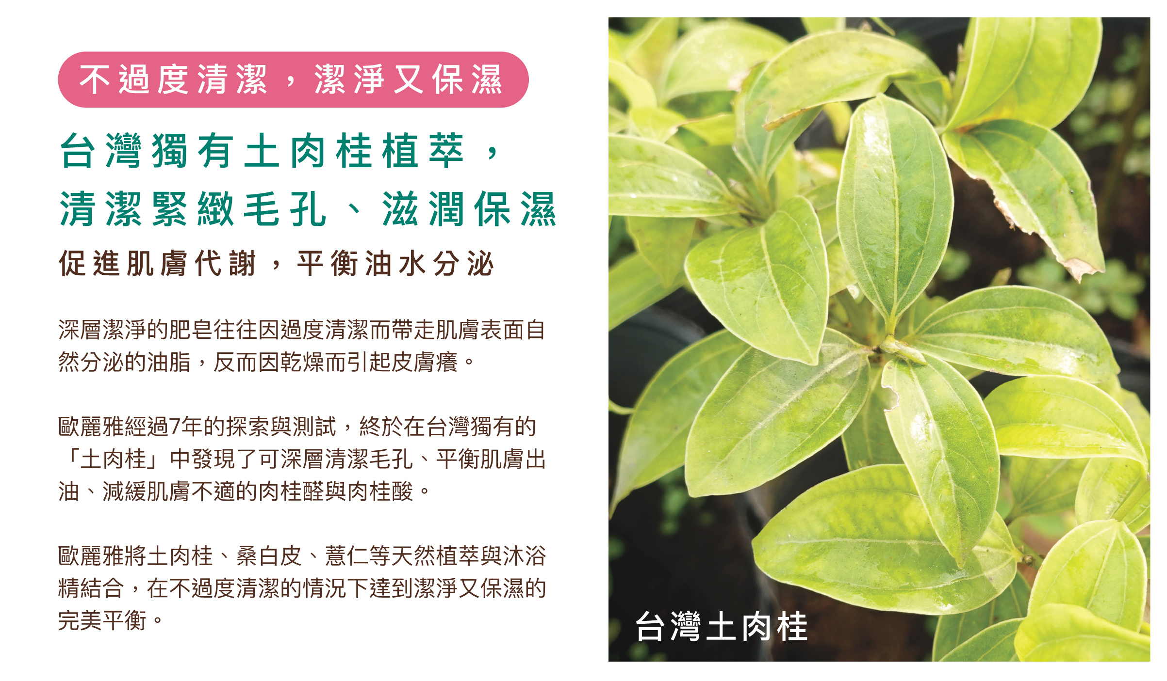台灣獨有土肉桂植萃,清潔緊緻毛孔、滋潤保濕