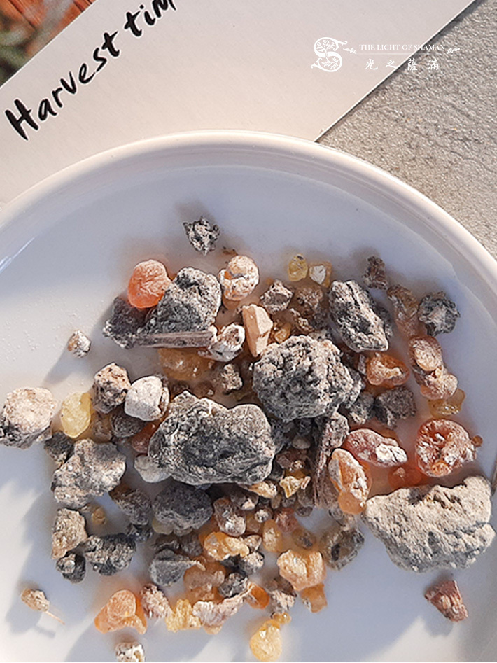 樹脂種類最齊全 淨化聖物 印加聖木樹脂 14g袋裝淨化 脈輪 薰香 南美 印加文化儀式 琥珀 阿茲 -