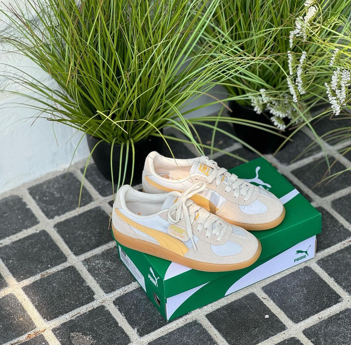 PUMA Palermo 鵝黃色 檸檬焦糖 檸檬黃 麂皮 拼接 復古 德訓鞋 焦糖底 399341-03/預購