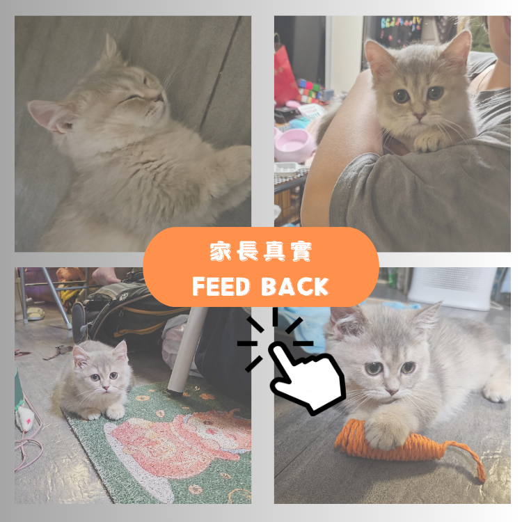 "長腿"的家長回饋