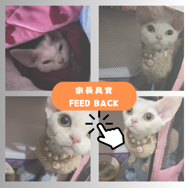 "貴倫美"的家長回饋