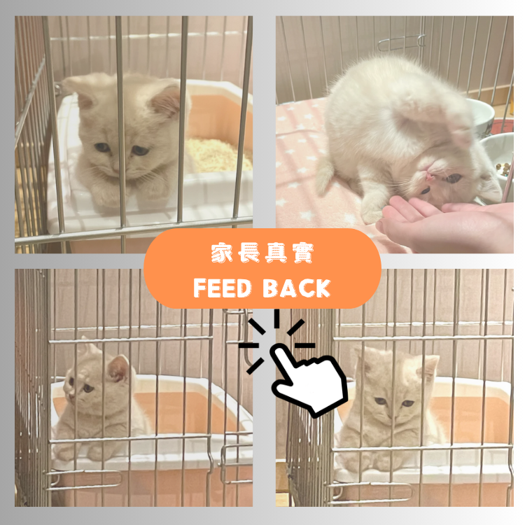 "小旋風"的家長回饋