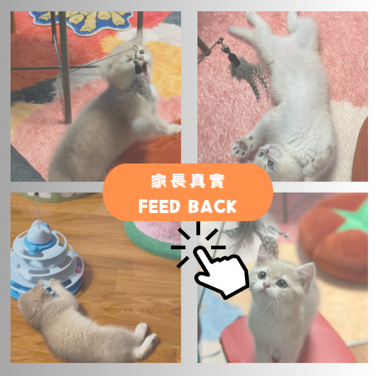 "莉莉"的家長回饋