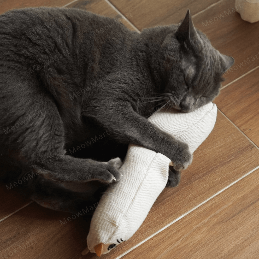 日本 Nyanta Club 醜醜貓麻布踢踢玩具