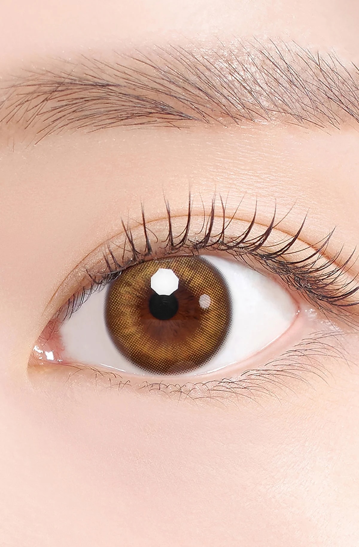 Bittersweet Kristin 1 Day(Hazel Brown)(10片)