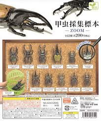 YELL 甲蟲採集標本 ZOOM篇 扭蛋 轉蛋 (全12款)