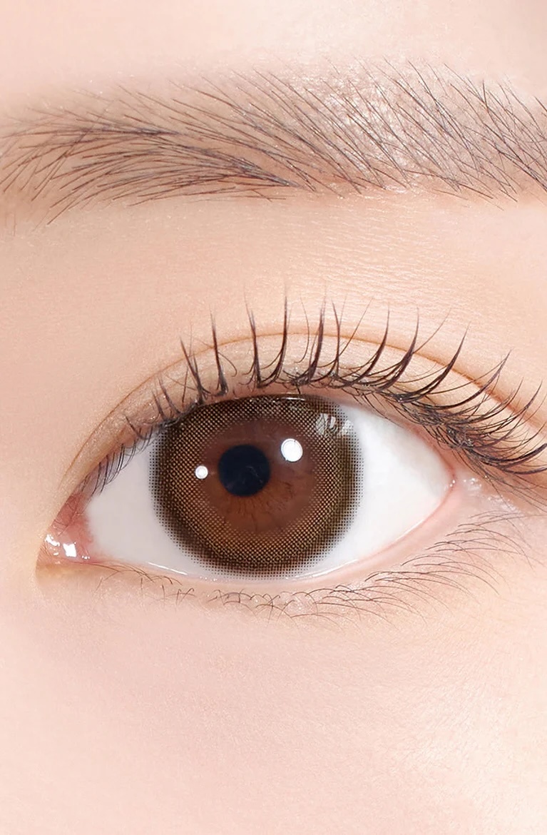 (散光)Glazed Kristin 1 Day Toric(Choco)(10片)