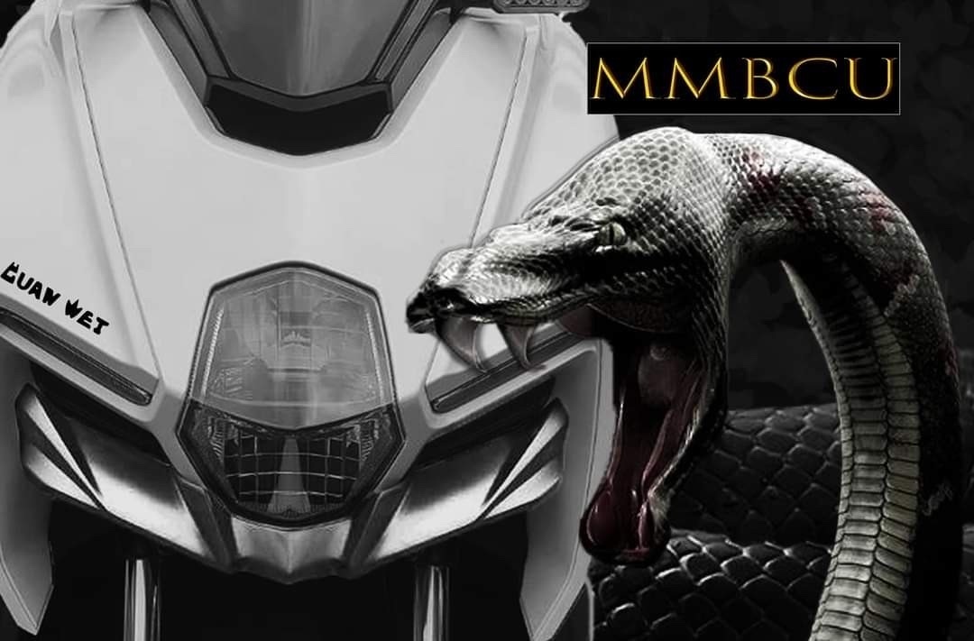 『冠威』MMBCU 曼巴 獠牙 下巴 毒牙 空力套件