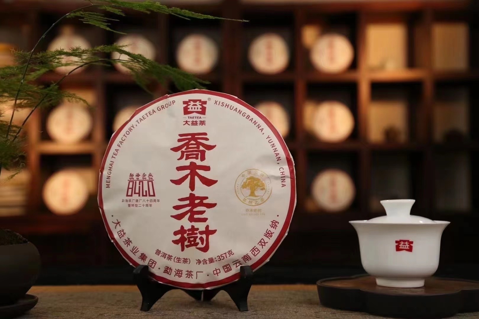 2024年大益普洱生茶喬木老樹2401批357克茶餅