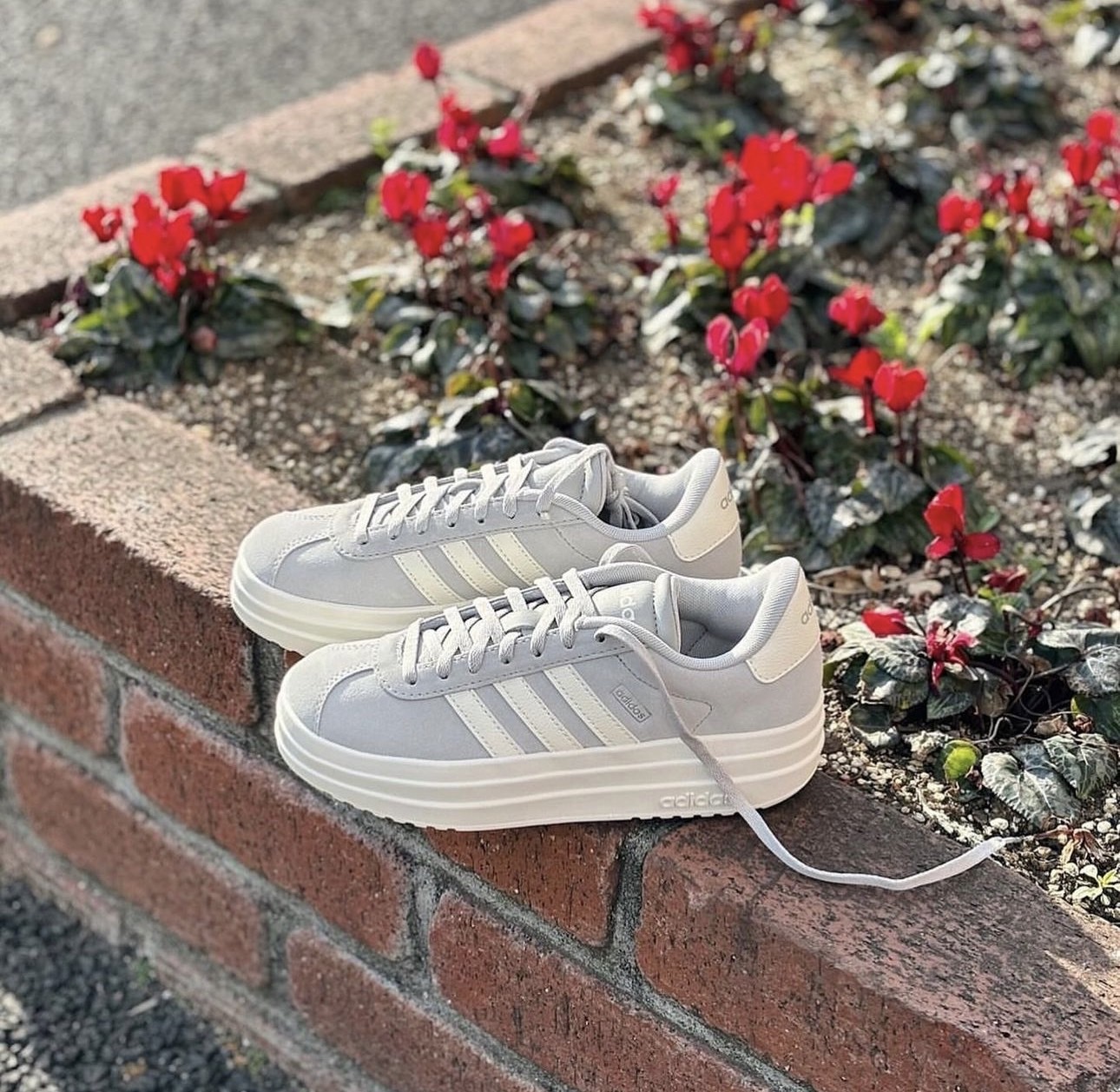 預購 adidas VL COURT BOLD 厚底 灰色