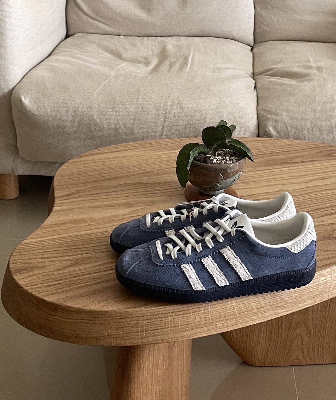 預購 ADIDAS BERMUDA NIGHT INDIGO PRELOVED INK 夜色靛藍