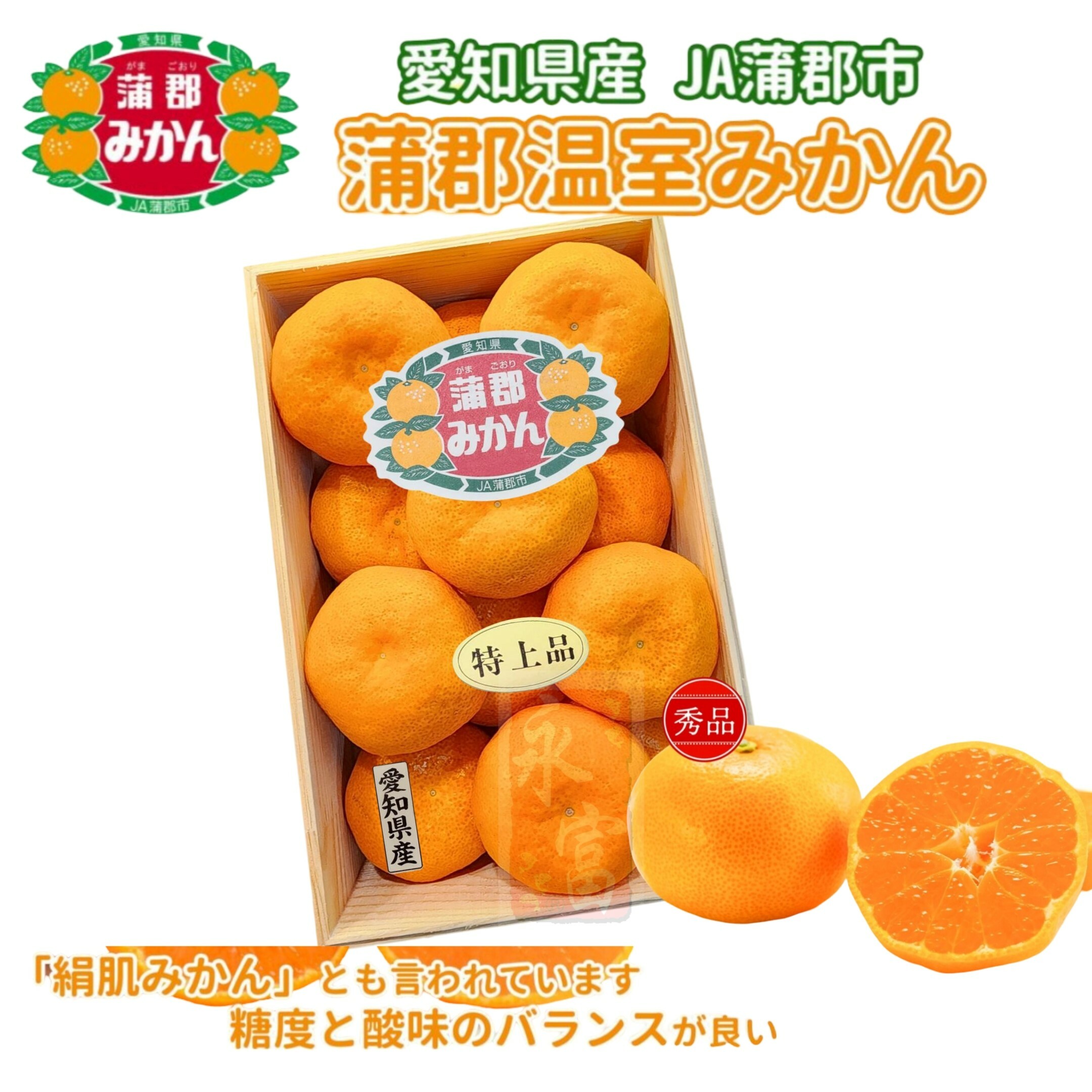 日本愛知縣蒲郡溫室蜜柑