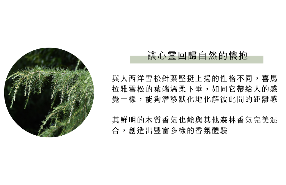 讓心靈回歸自然的懷抱