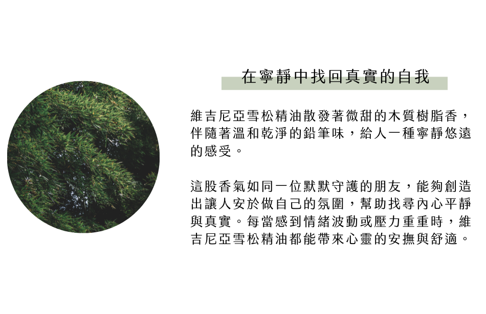 在寧靜中找回真實的自我